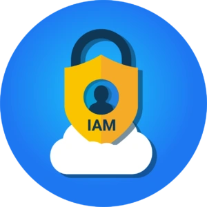 select-IAM-solution_as-cloud-service