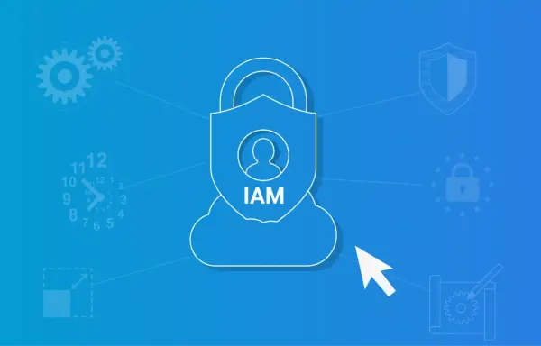 How Do I Select an IAM Solution