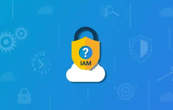 Why Do You Need an IAM Solution?